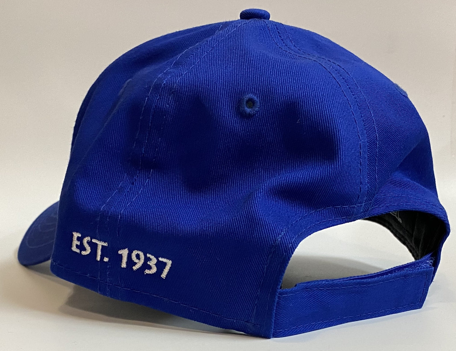 Hat - New Era Snowgoose Structured Cap