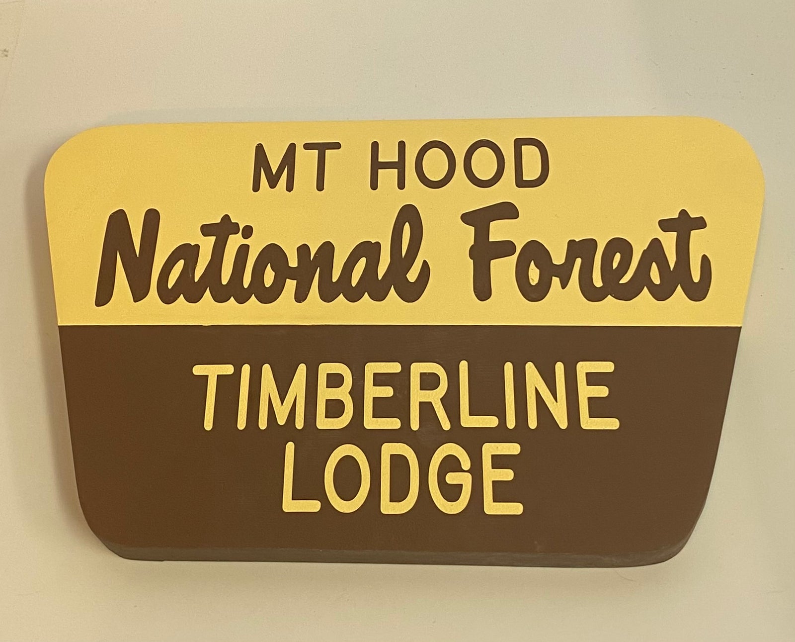 USA森林局看板 USA森林局 弾痕看板 Vintage US Forest Service Sign Double